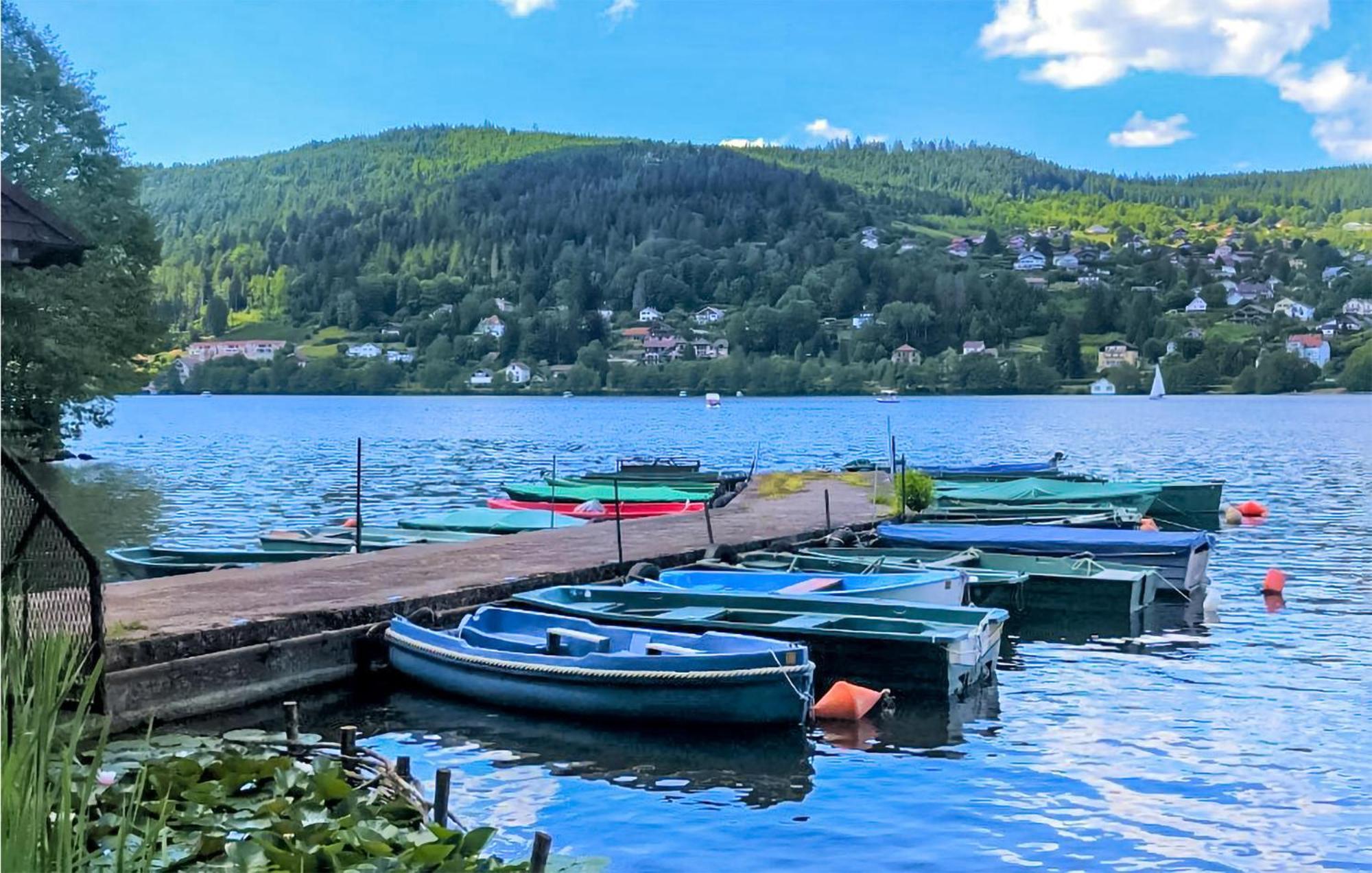 Gorgeous Apartment In Gerardmer With Kitchen エクステリア 写真