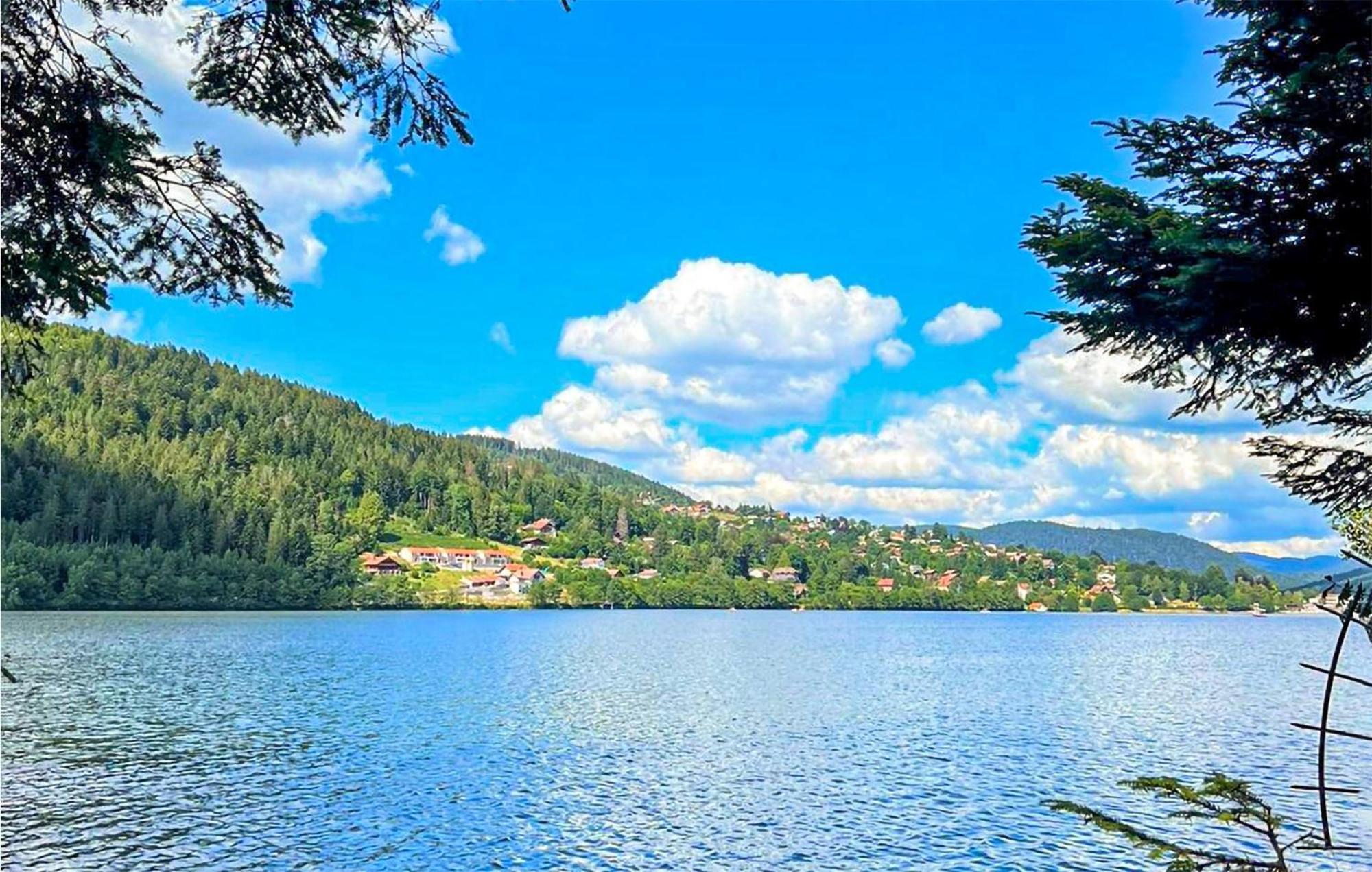 Gorgeous Apartment In Gerardmer With Kitchen エクステリア 写真